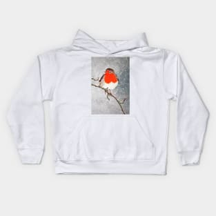 Winter Robin Kids Hoodie